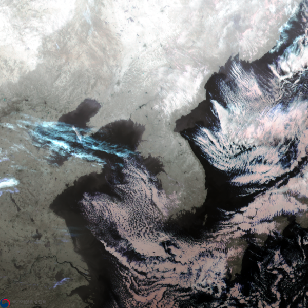 위성영상 : 202601071334