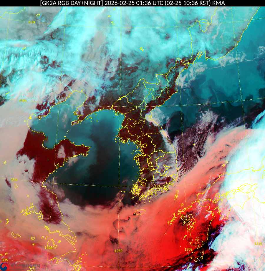 Satellite : 202602250136